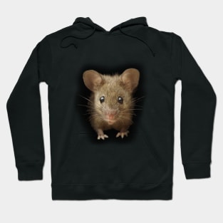 Just A mouse Hoodie